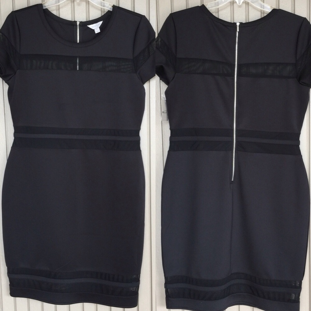 Belle & Sky Mesh Insert Dress
